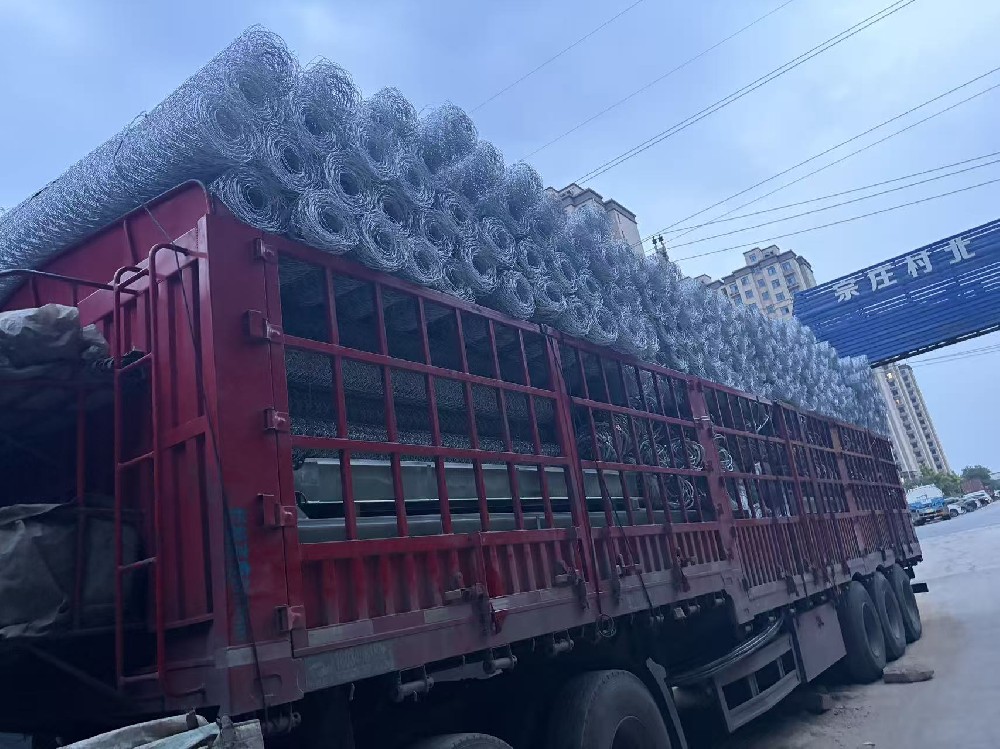边坡绿化工程选型指南：为什么新式喷播机编网逐步替代传统挂网？